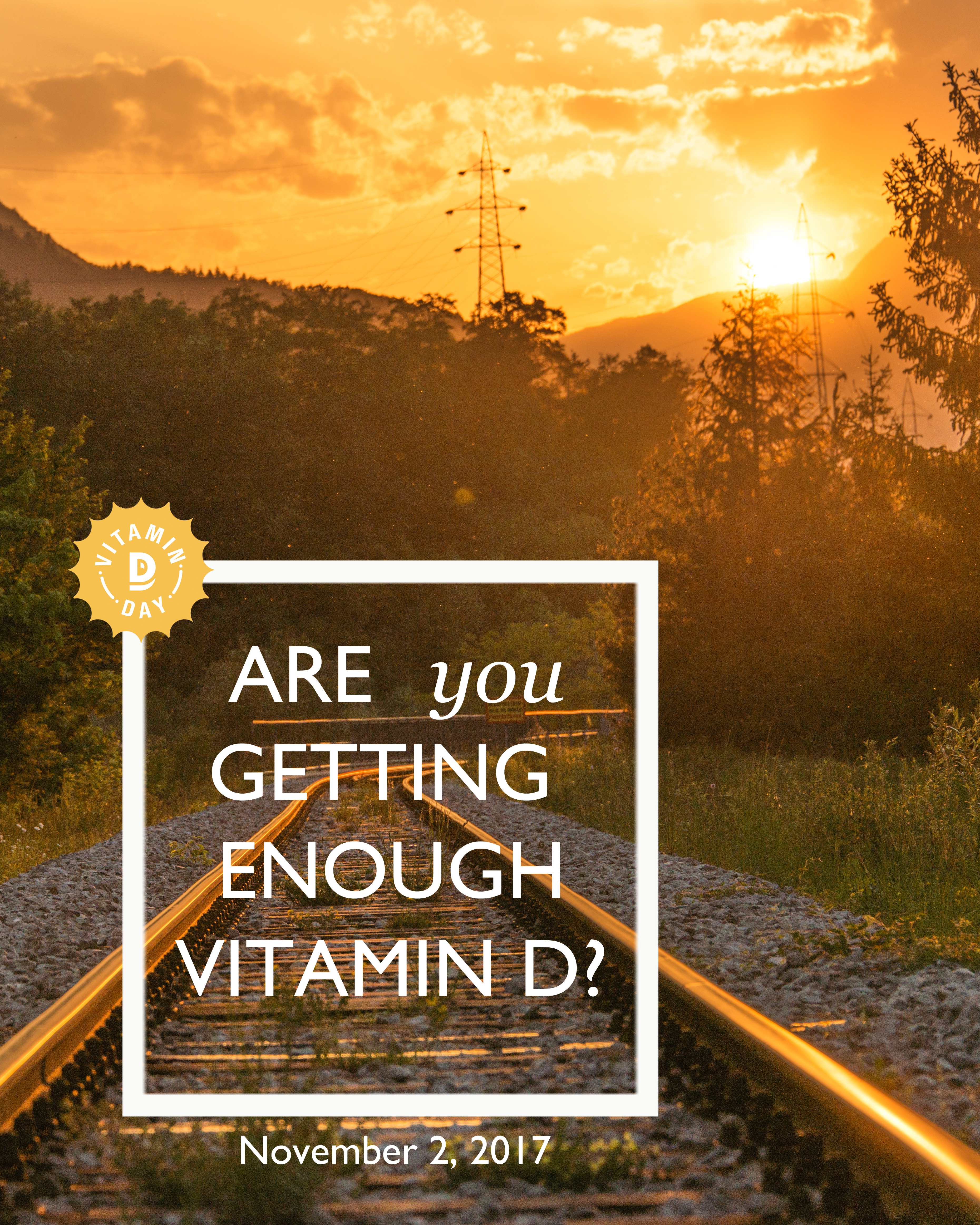 2017 Vitamin D Day Poster1